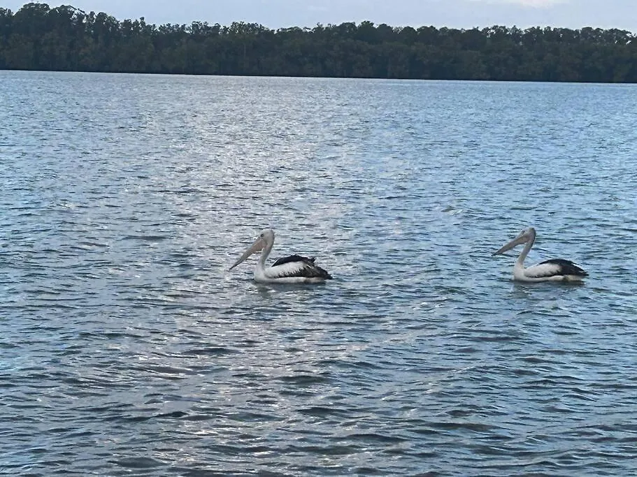 Cosy Unit With Park & Water View Apartment Ballina